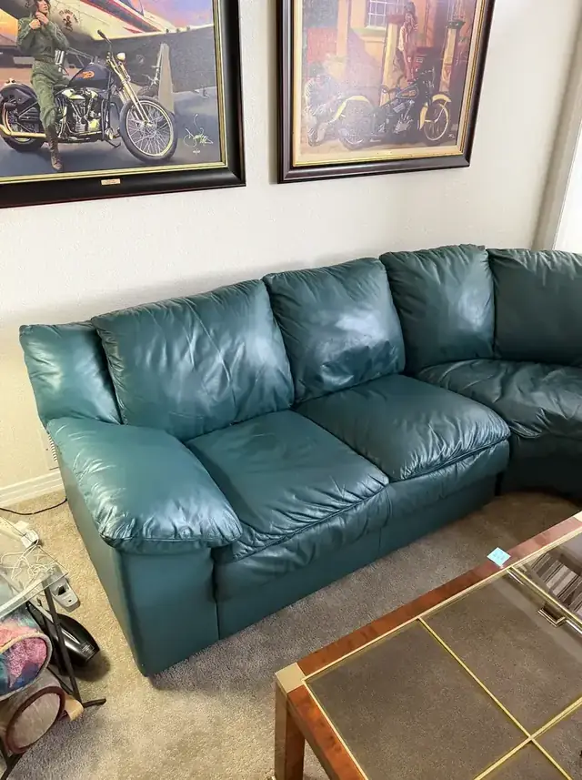 Leather sofa cushion after repair